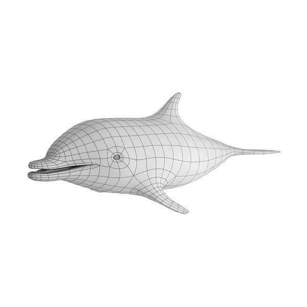 Dolphin Base Mesh Low-poly 3D model_3