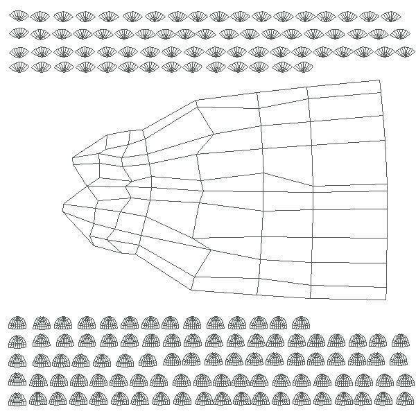 Dolphin Base Mesh Low-poly 3D model_9