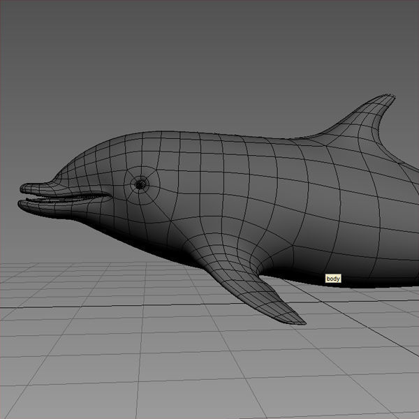 Dolphin Base Mesh Low-poly 3D model_7