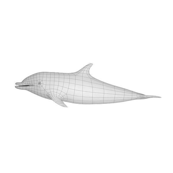 Dolphin Base Mesh Low-poly 3D model_4