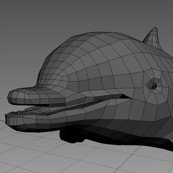 Dolphin Base Mesh Low-poly 3D model_6