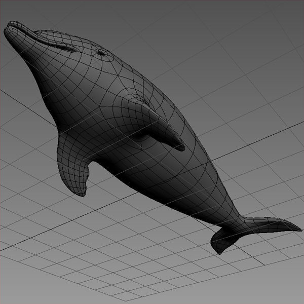 Dolphin Base Mesh Low-poly 3D model_5