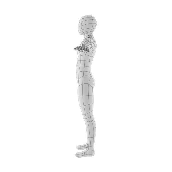 Male Base Mesh Low-poly 3D model_3
