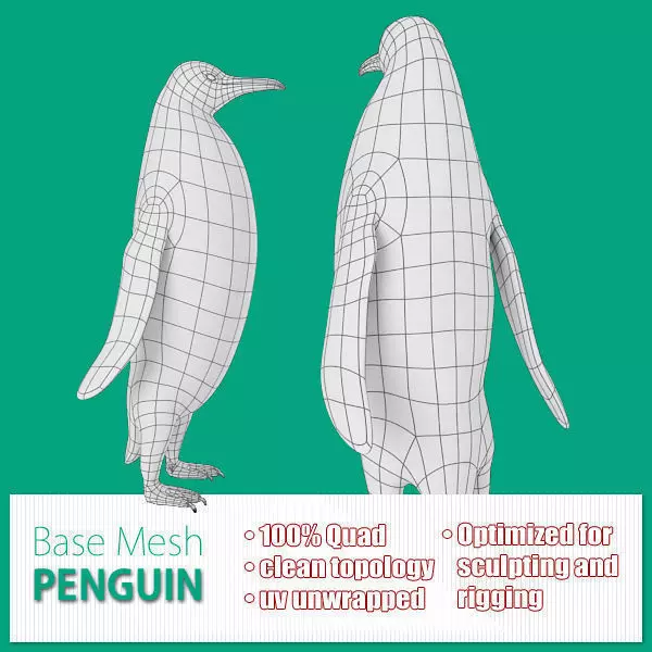 Penguin base mesh Low-poly 3D model_0