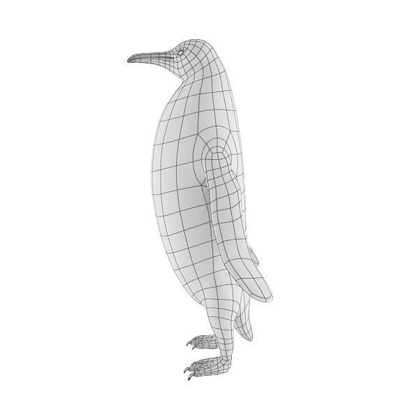 Penguin base mesh Low-poly 3D model_3