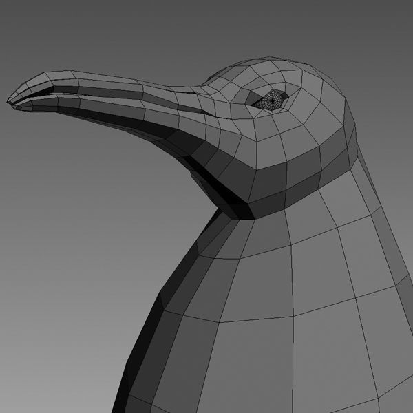 Penguin base mesh Low-poly 3D model_5
