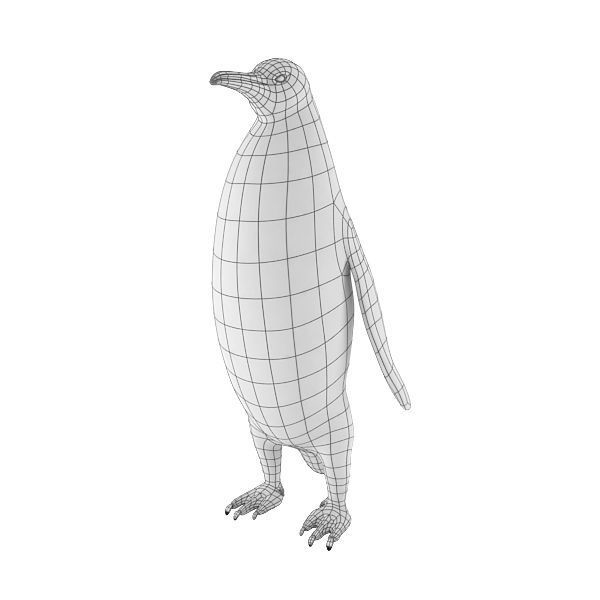 Penguin base mesh Low-poly 3D model_2