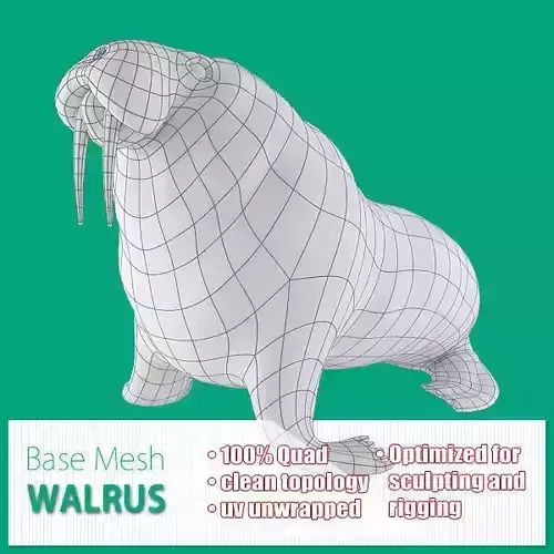 Walrus Base Mesh