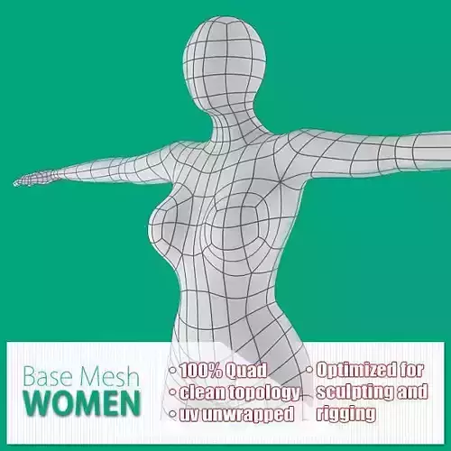 Women Base Mesh