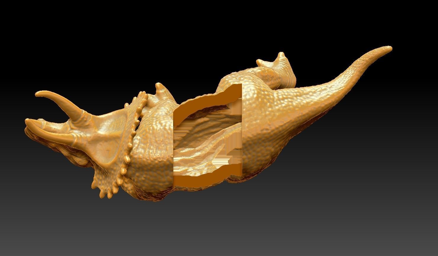 3D Printable Tericeratops 3D print model_6