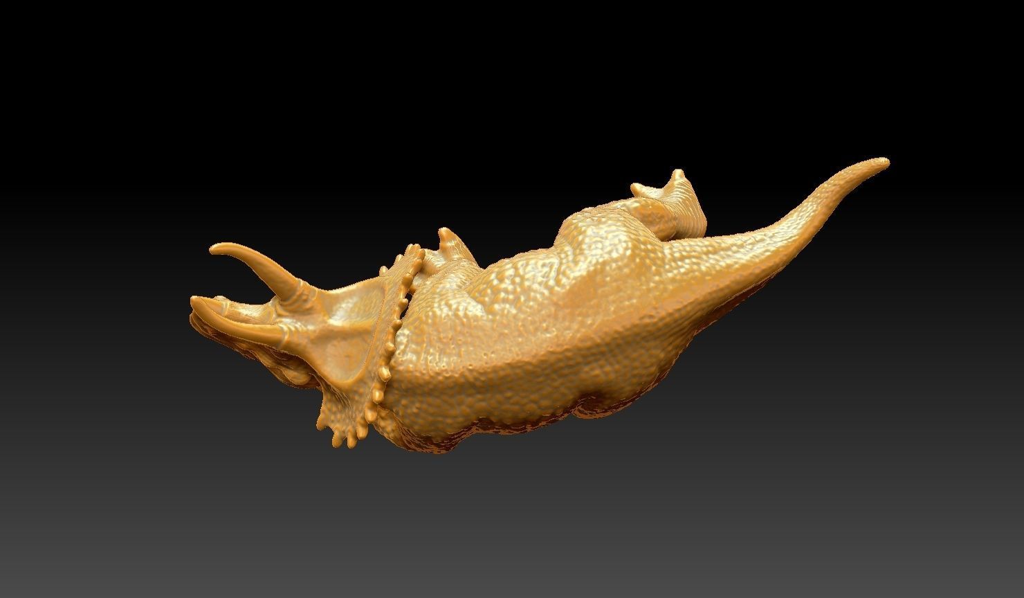 3D Printable Tericeratops 3D print model_5