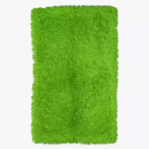 Mongolian fur rug green 3D model