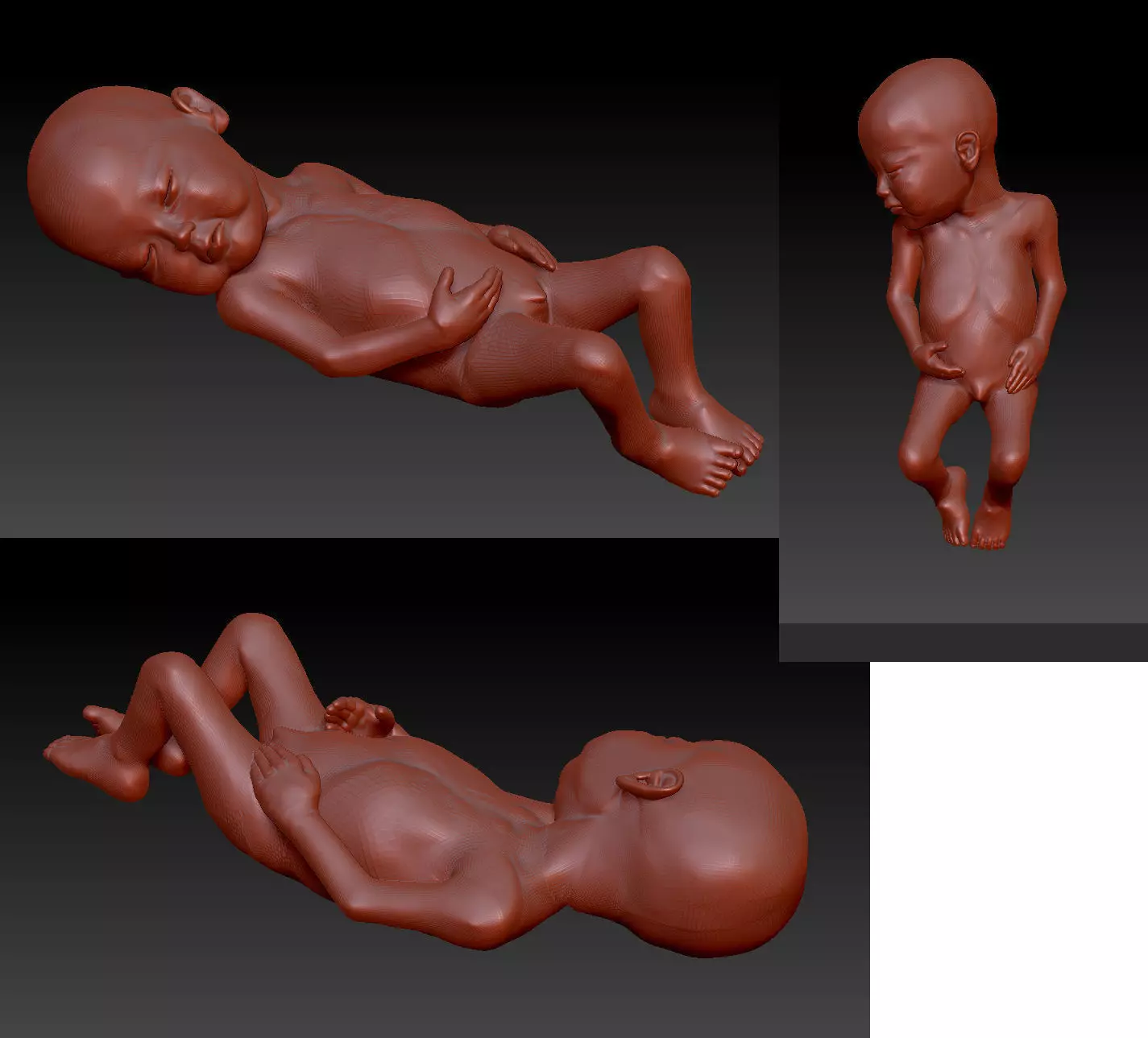 newborn baby fetus 3D print model_0