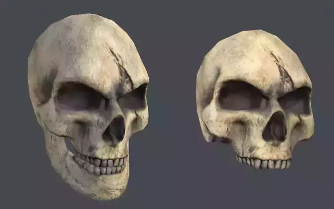 Human Skull - Game Ready