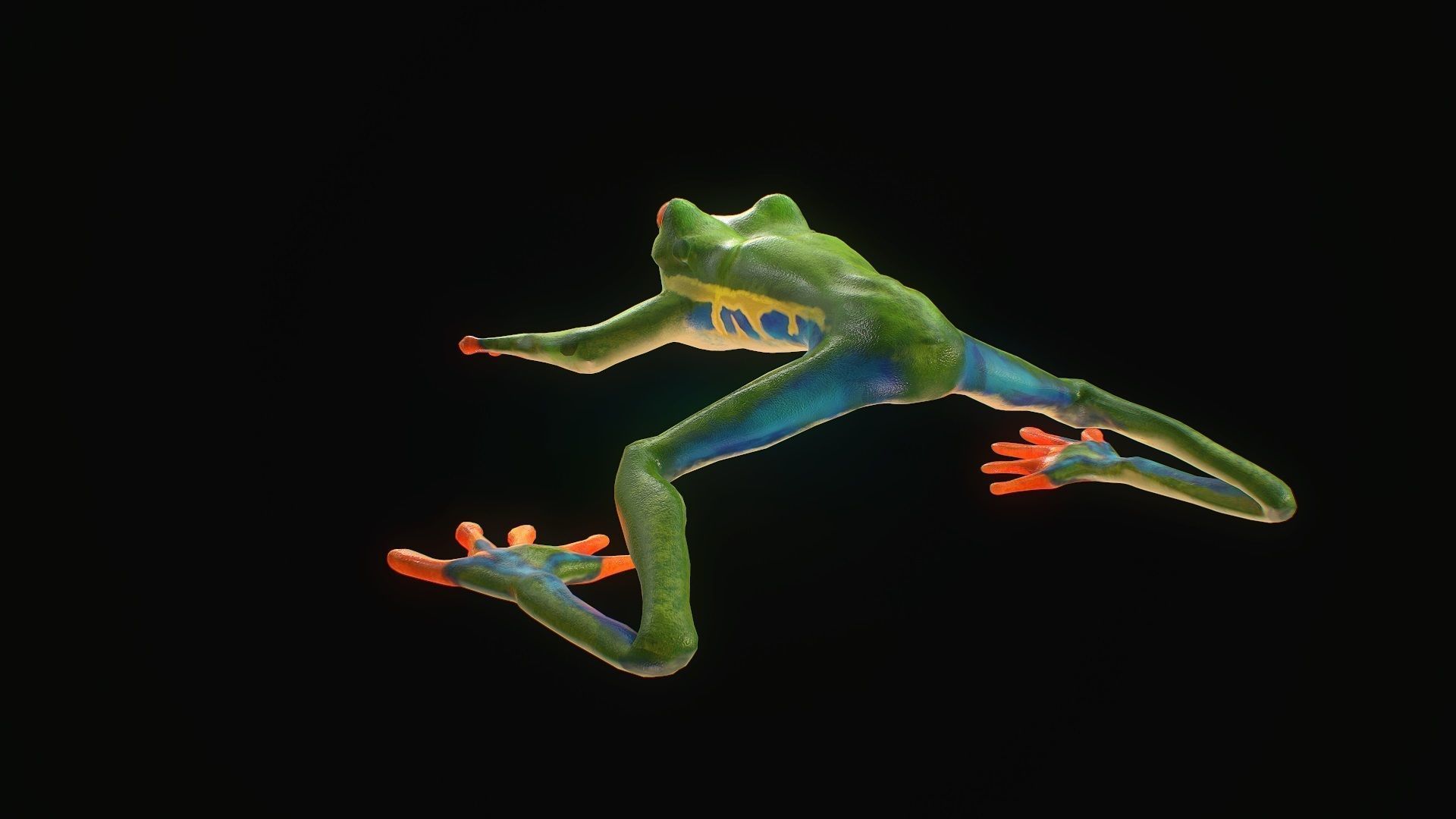 Low poly tree frog Hylidae amphibian model Low-poly 3D model_5