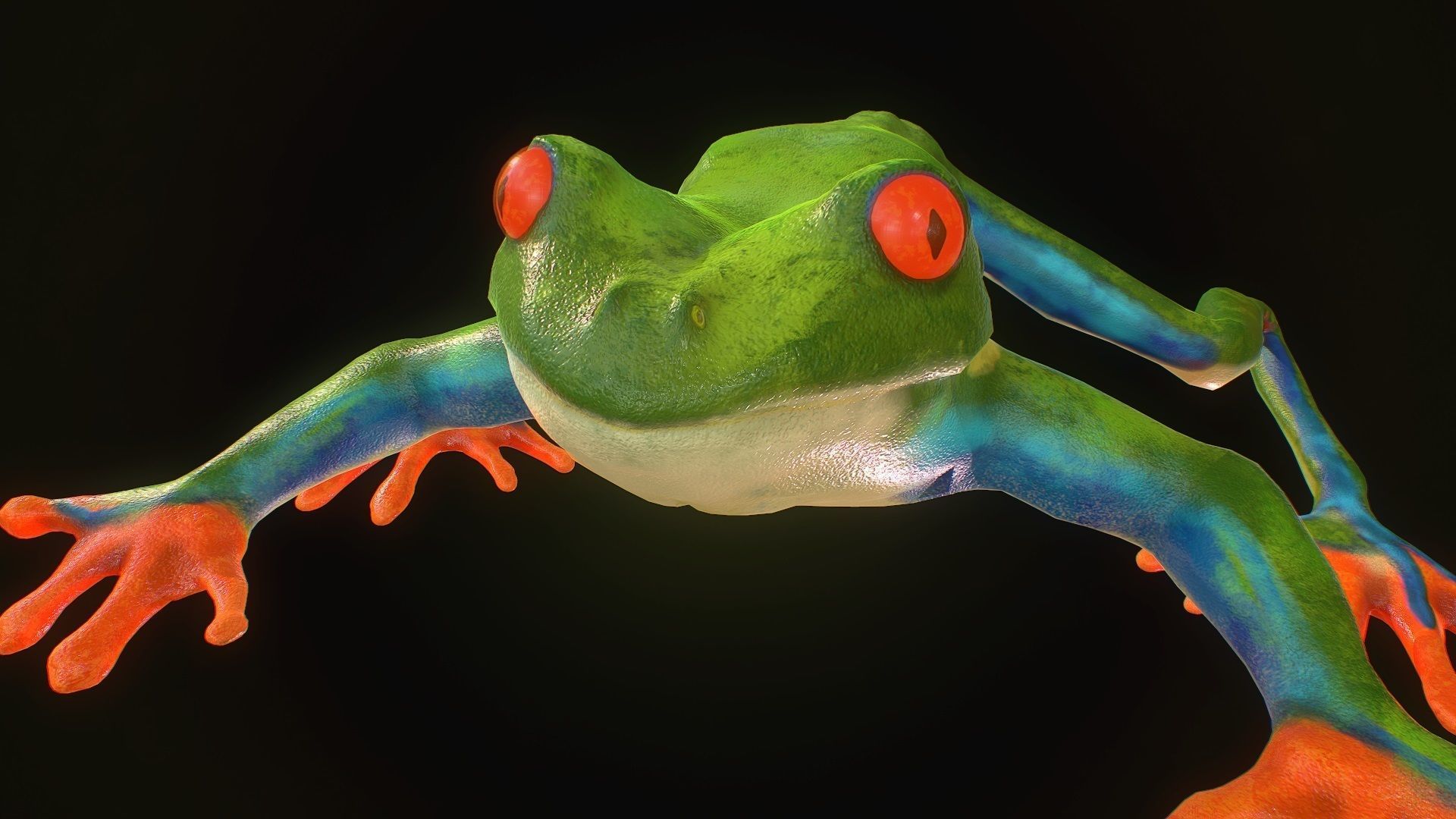 Low poly tree frog Hylidae amphibian model Low-poly 3D model_6