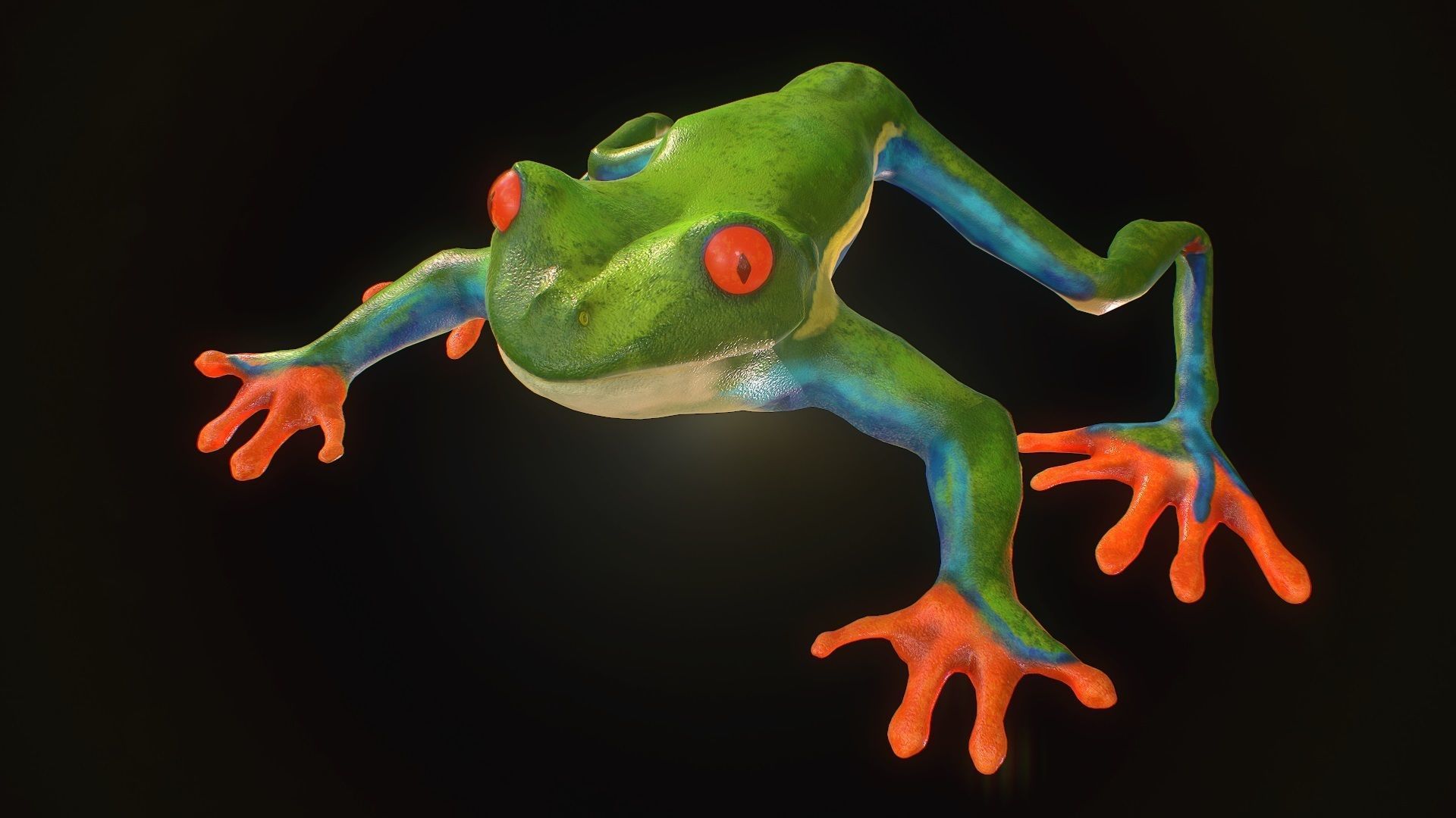 Low poly tree frog Hylidae amphibian model Low-poly 3D model_0