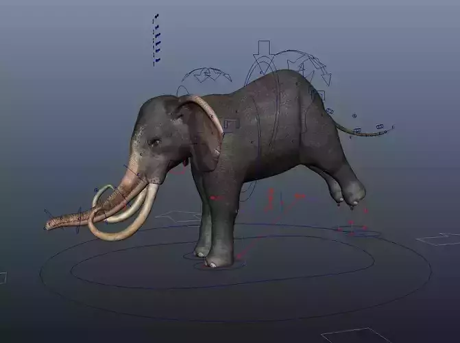 Asiatic Elephant Rig Low-poly 3D model