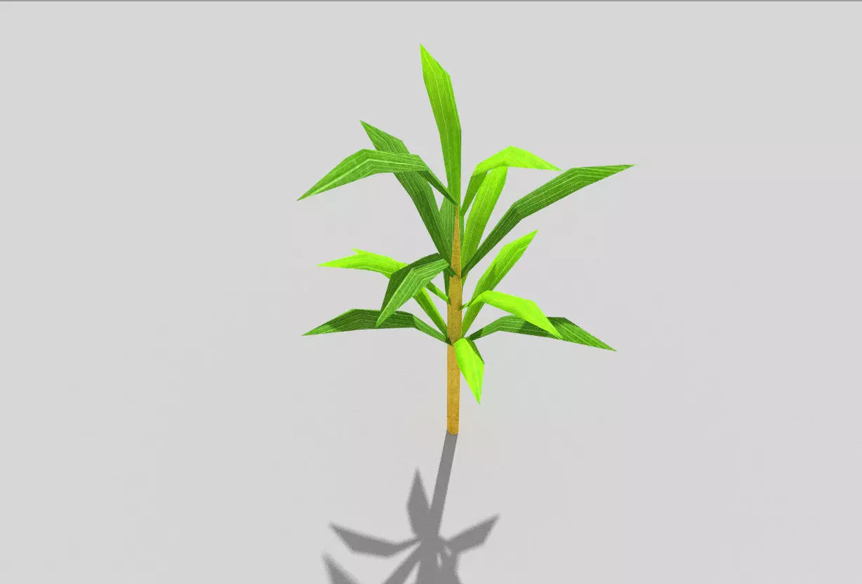low poly beach plant Low-poly 3D model_0