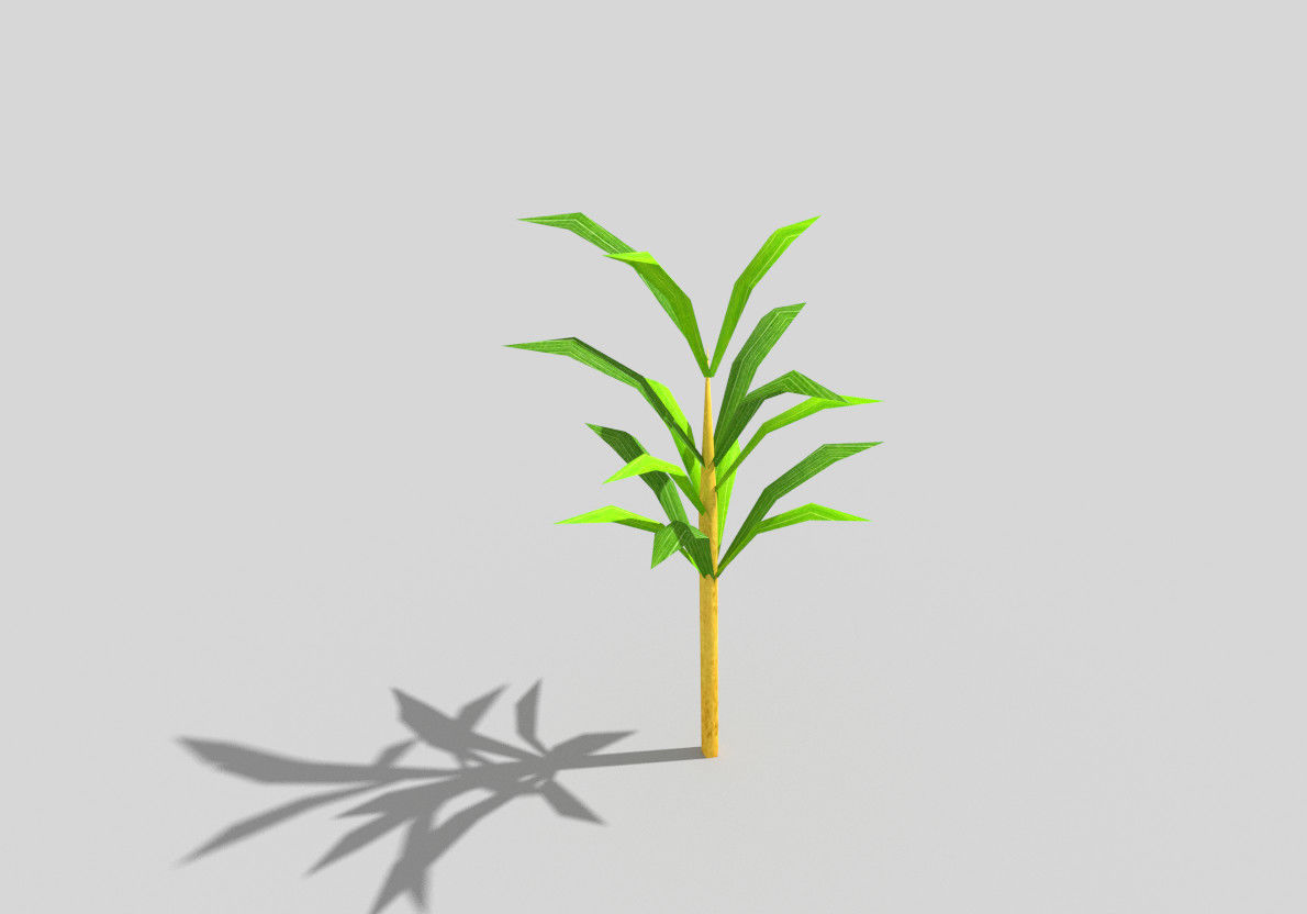 low poly beach plant Low-poly 3D model_2
