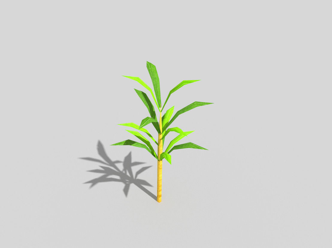 low poly beach plant Low-poly 3D model_1