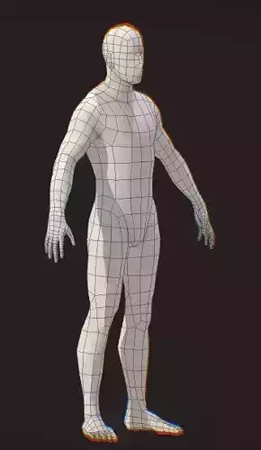 Generic Base Mesh