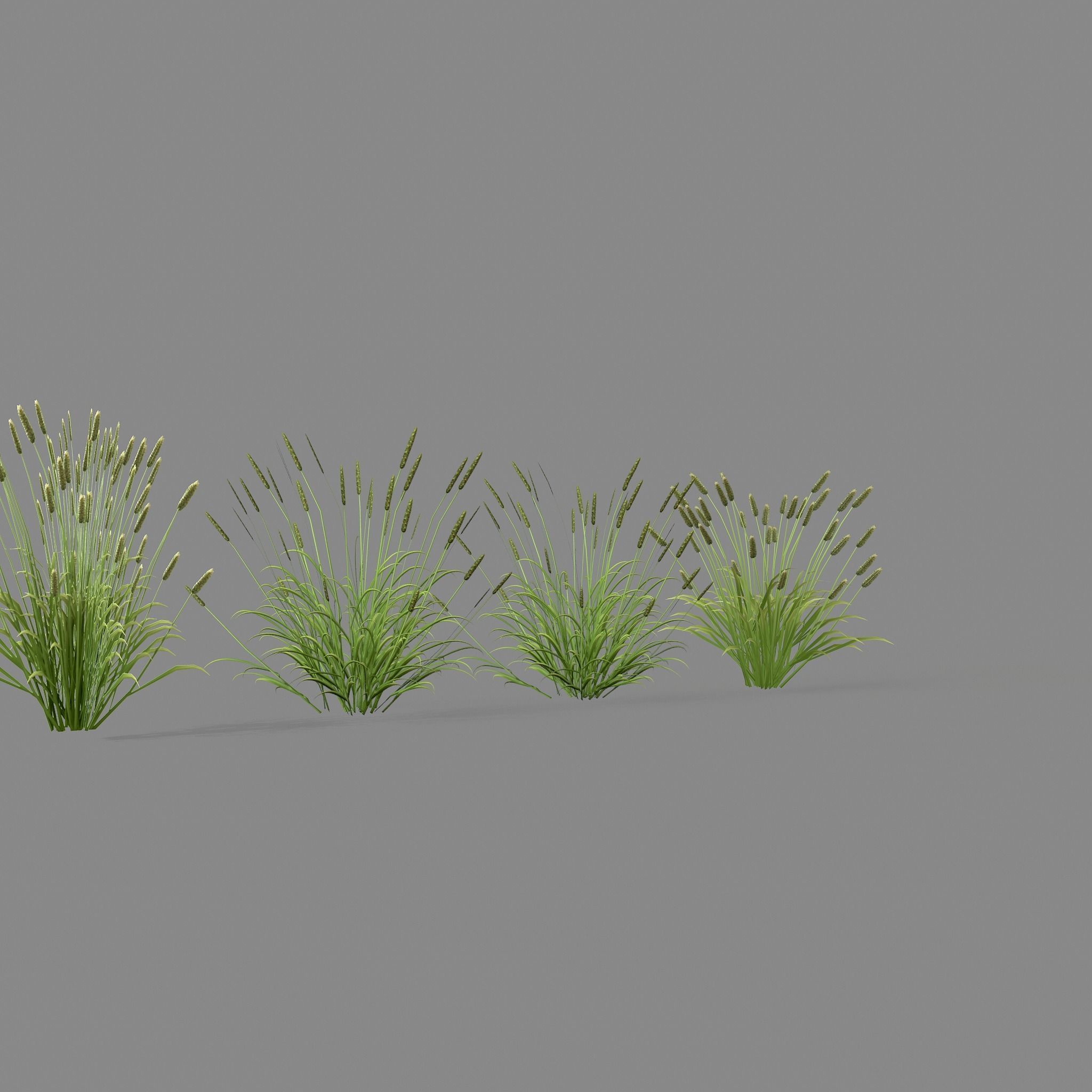 Shrub 2 tall grass Low-poly 3D model_10