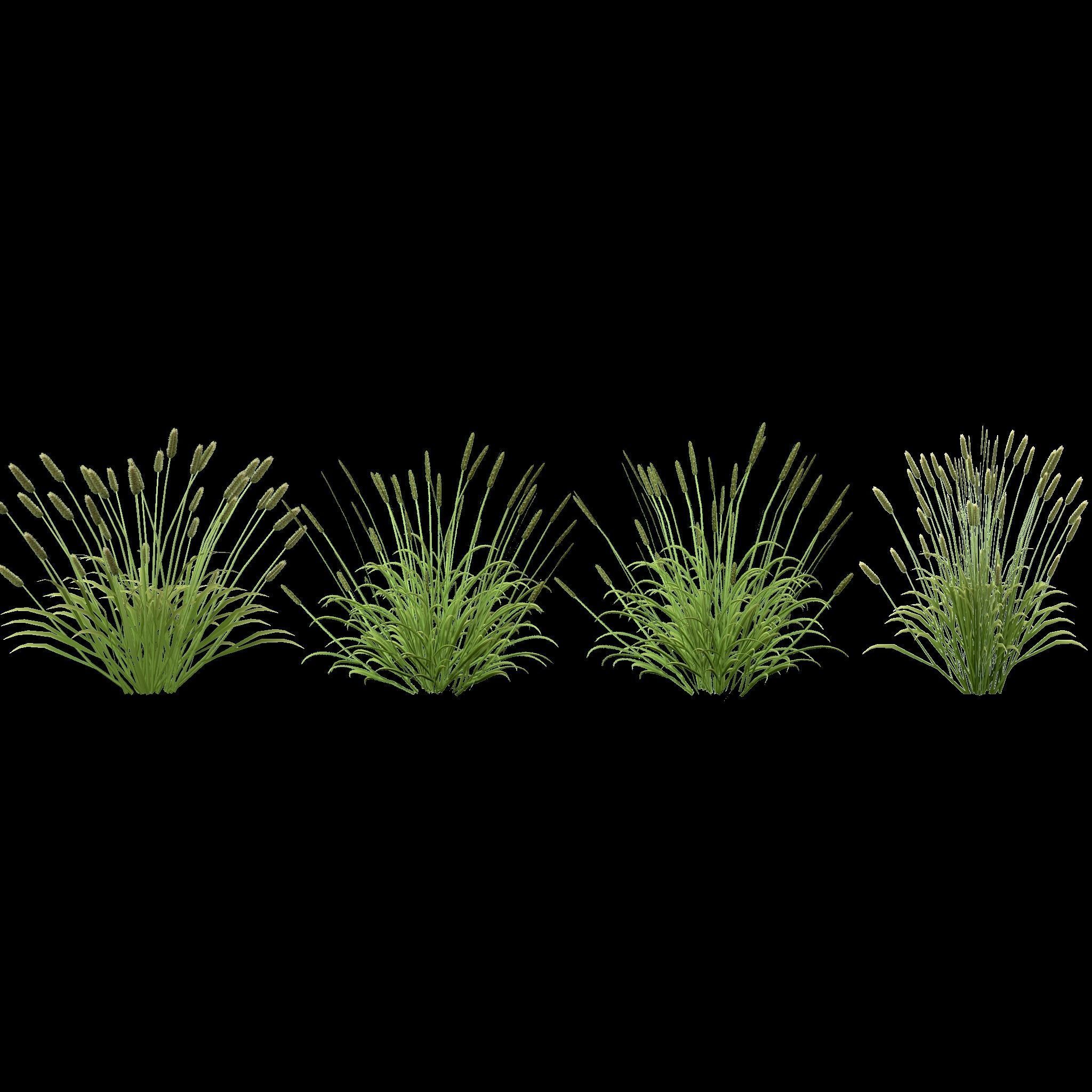 Shrub 2 tall grass Low-poly 3D model_6