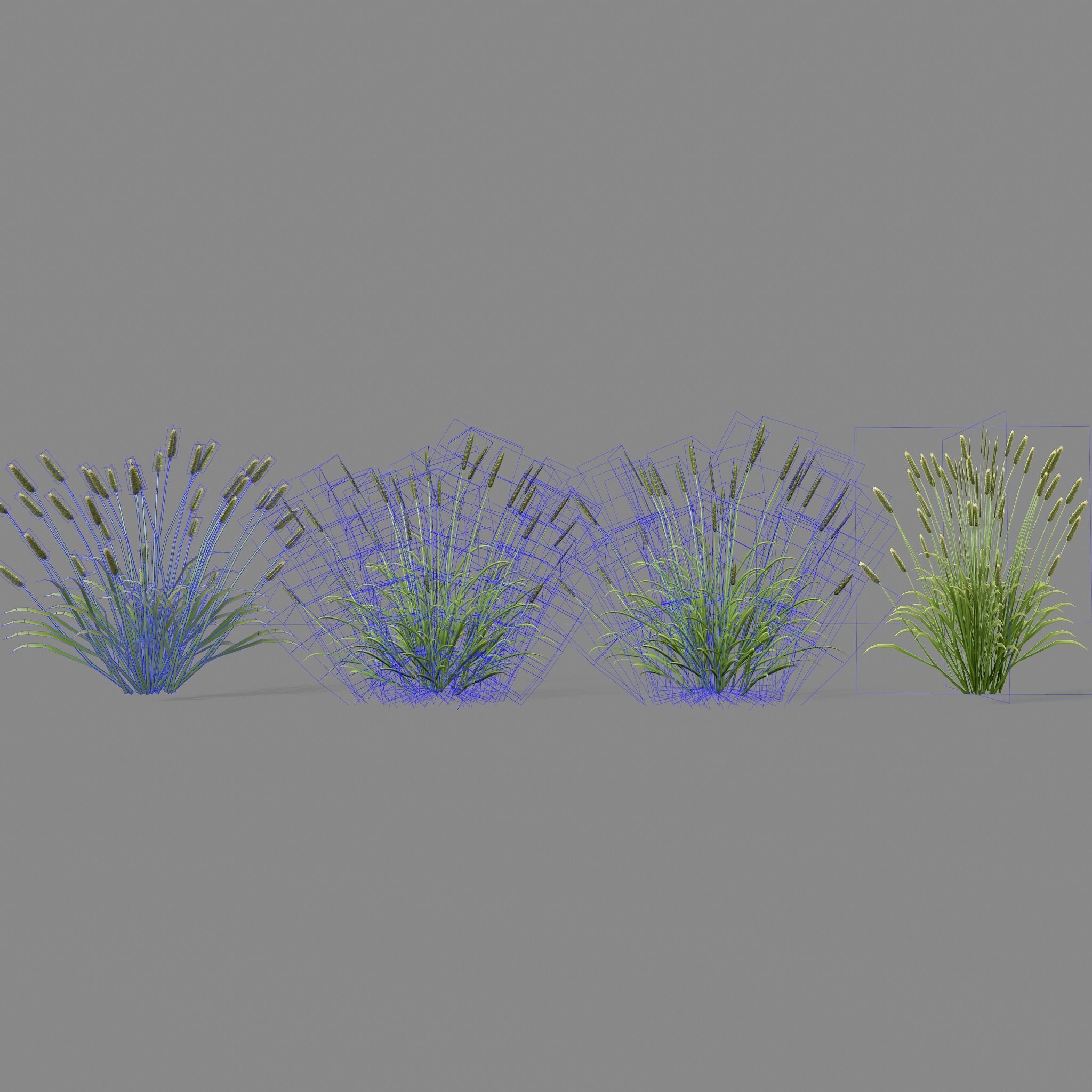 Shrub 2 tall grass Low-poly 3D model_1