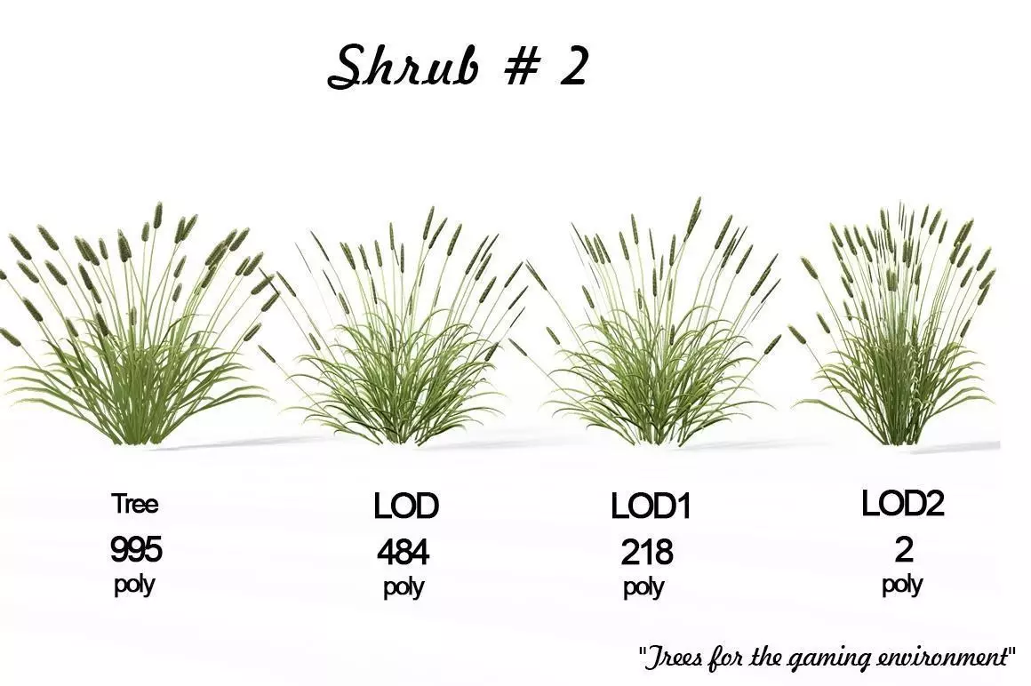 Shrub 2 tall grass Low-poly 3D model_0