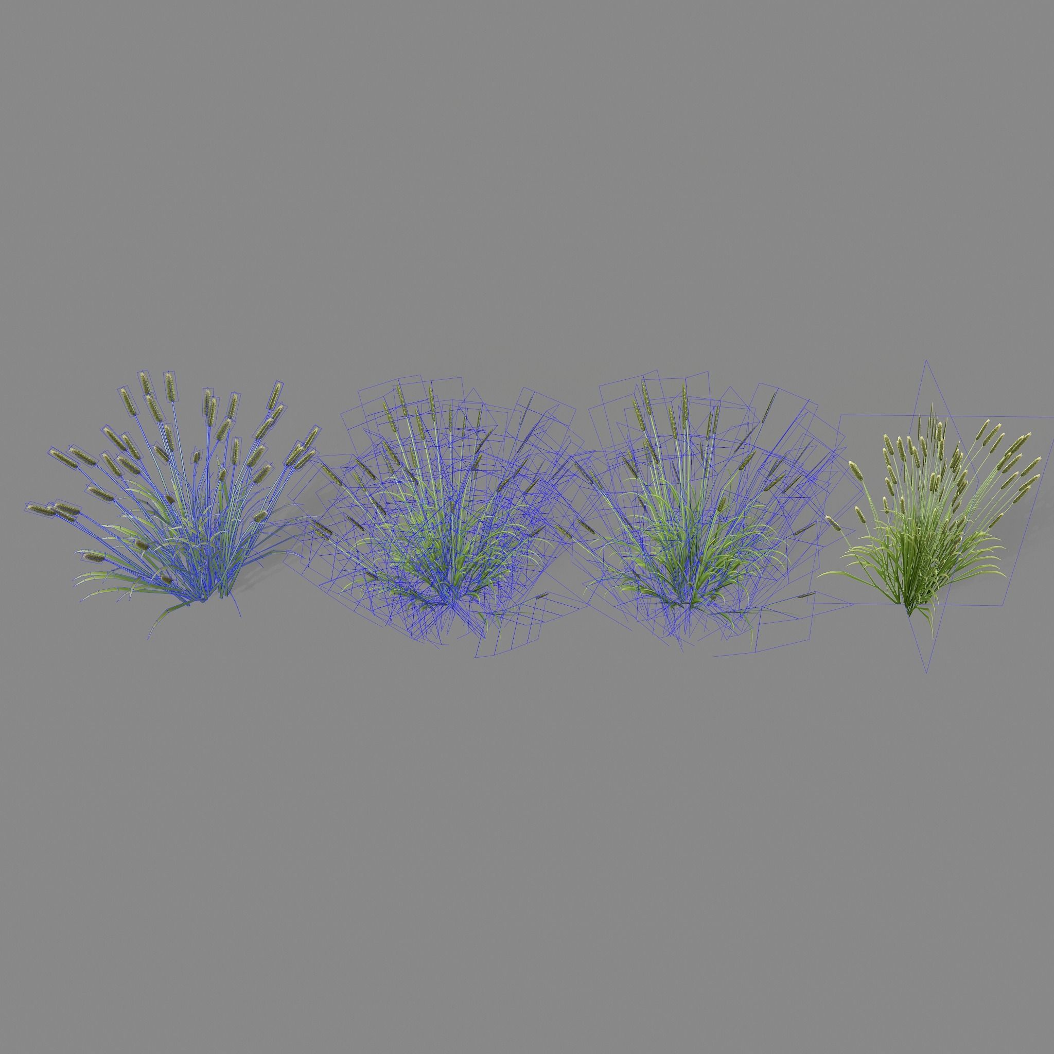 Shrub 2 tall grass Low-poly 3D model_13