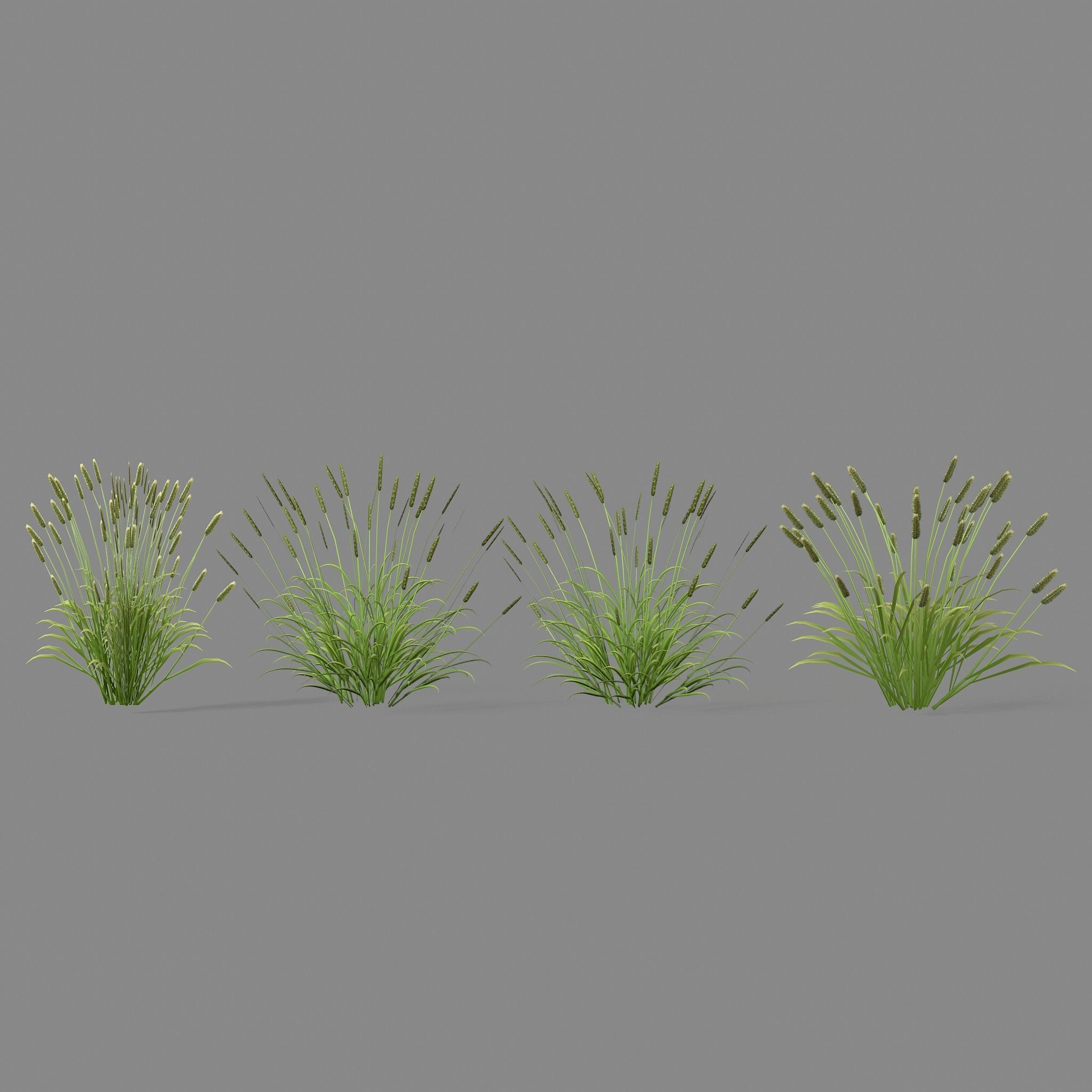 Shrub 2 tall grass Low-poly 3D model_11