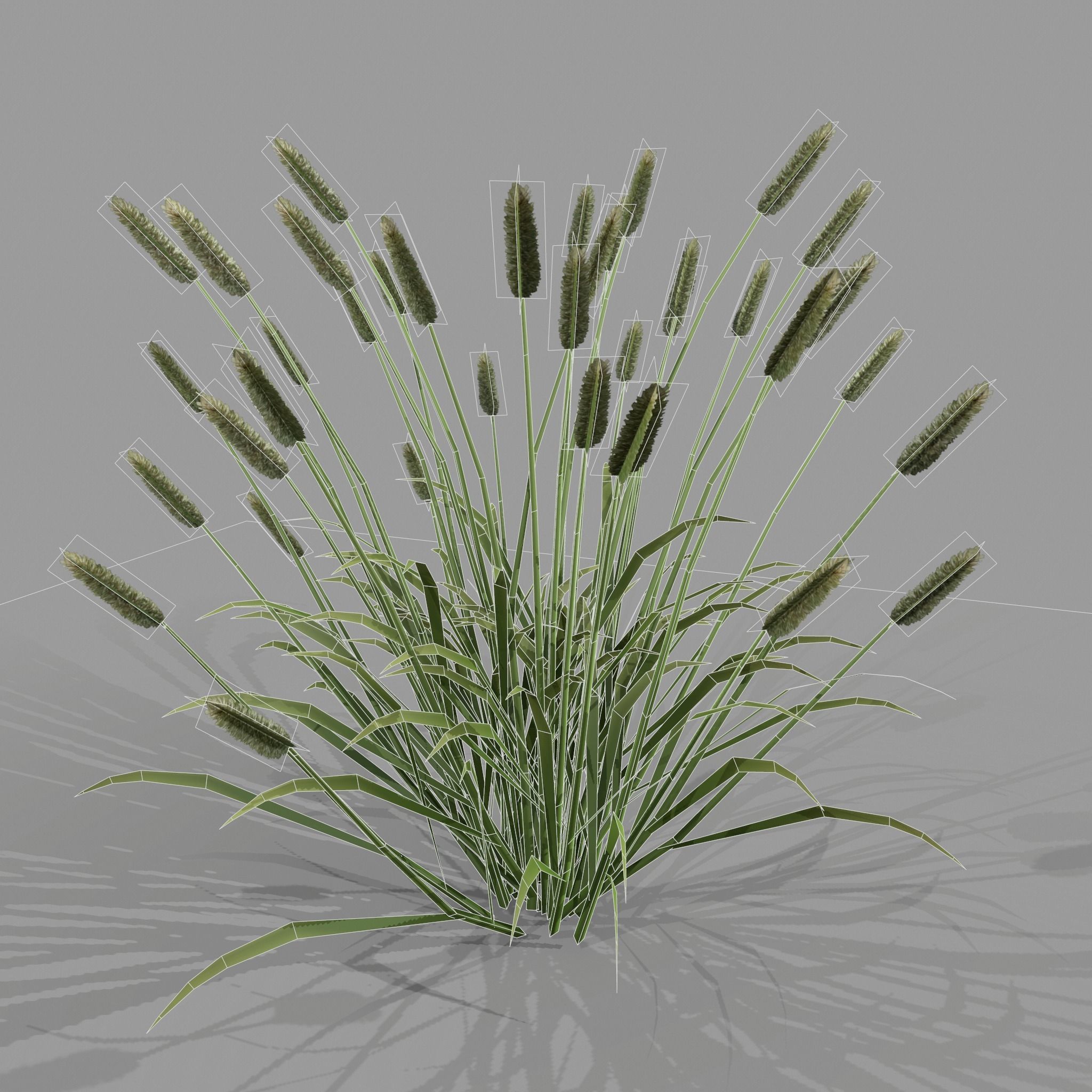 Shrub 2 tall grass Low-poly 3D model_3