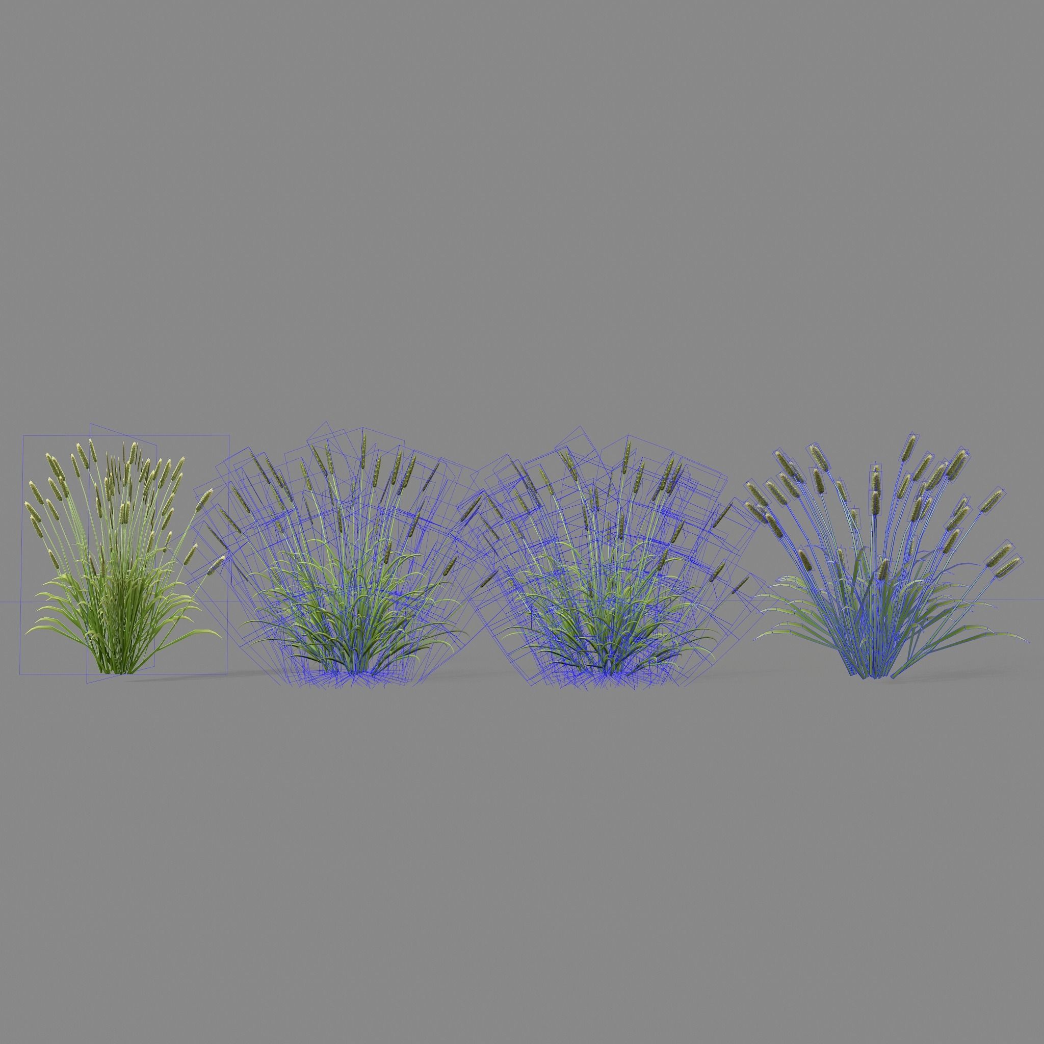 Shrub 2 tall grass Low-poly 3D model_12