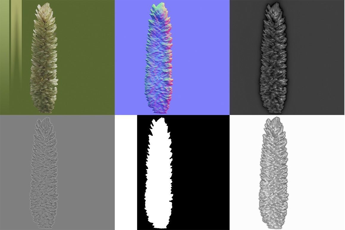 Shrub 2 tall grass Low-poly 3D model_5