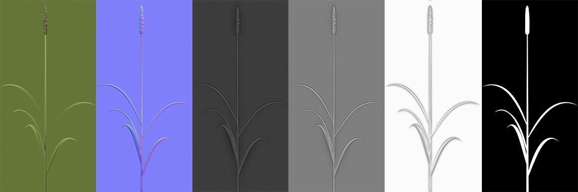 Shrub 2 tall grass Low-poly 3D model_4