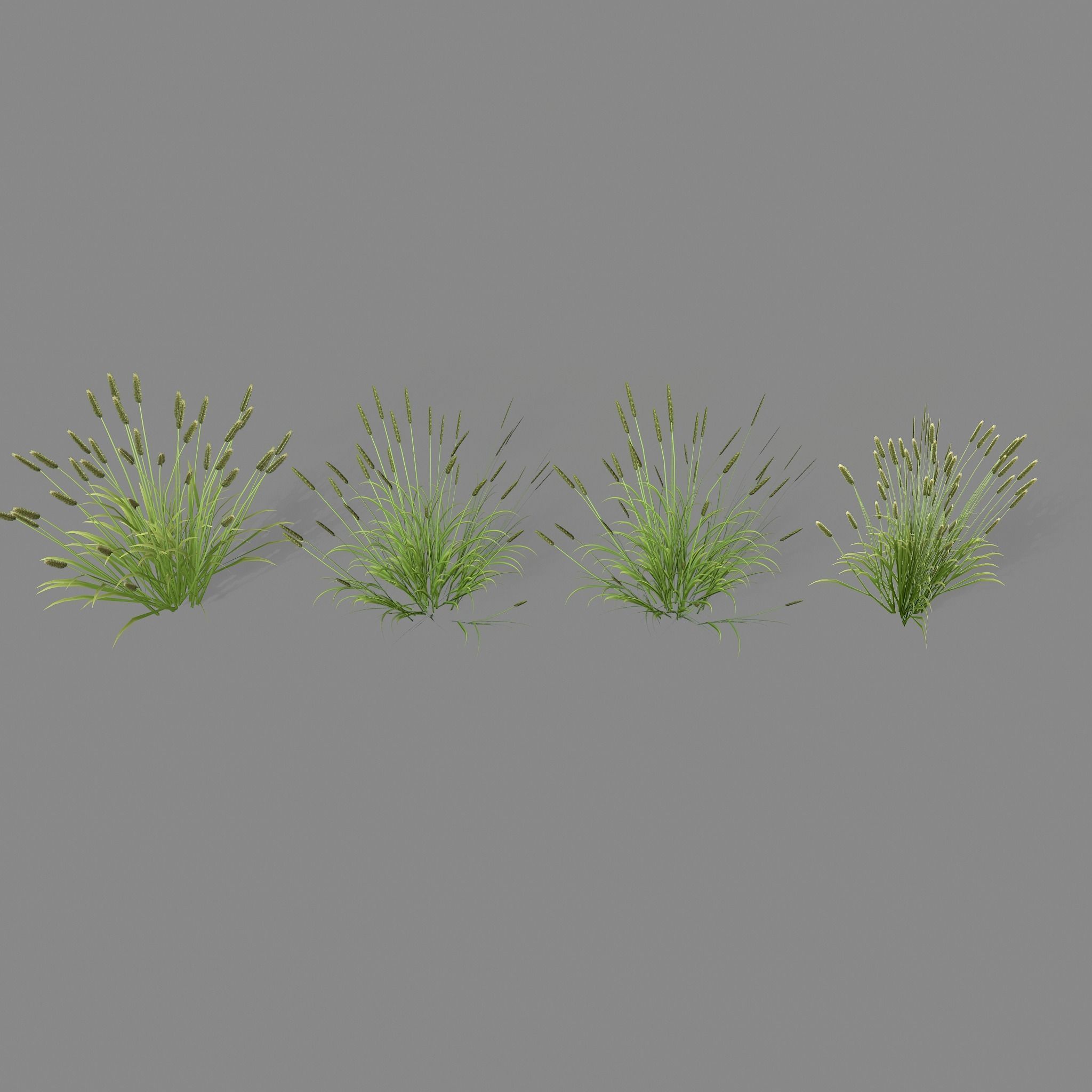 Shrub 2 tall grass Low-poly 3D model_14
