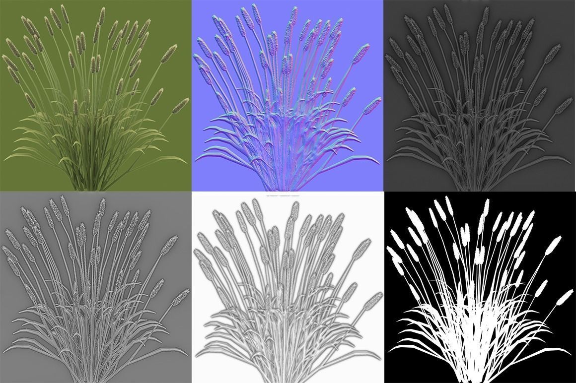 Shrub 2 tall grass Low-poly 3D model_7