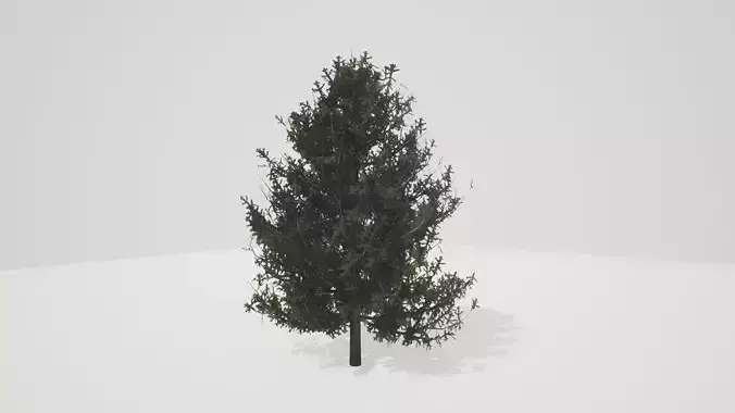Tree Pine Low-poly 3D model