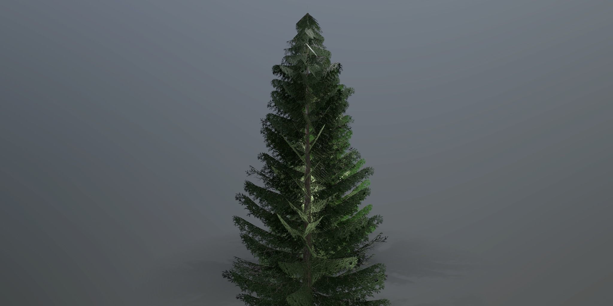 Spruce three pine trees Low-poly 3D model_9