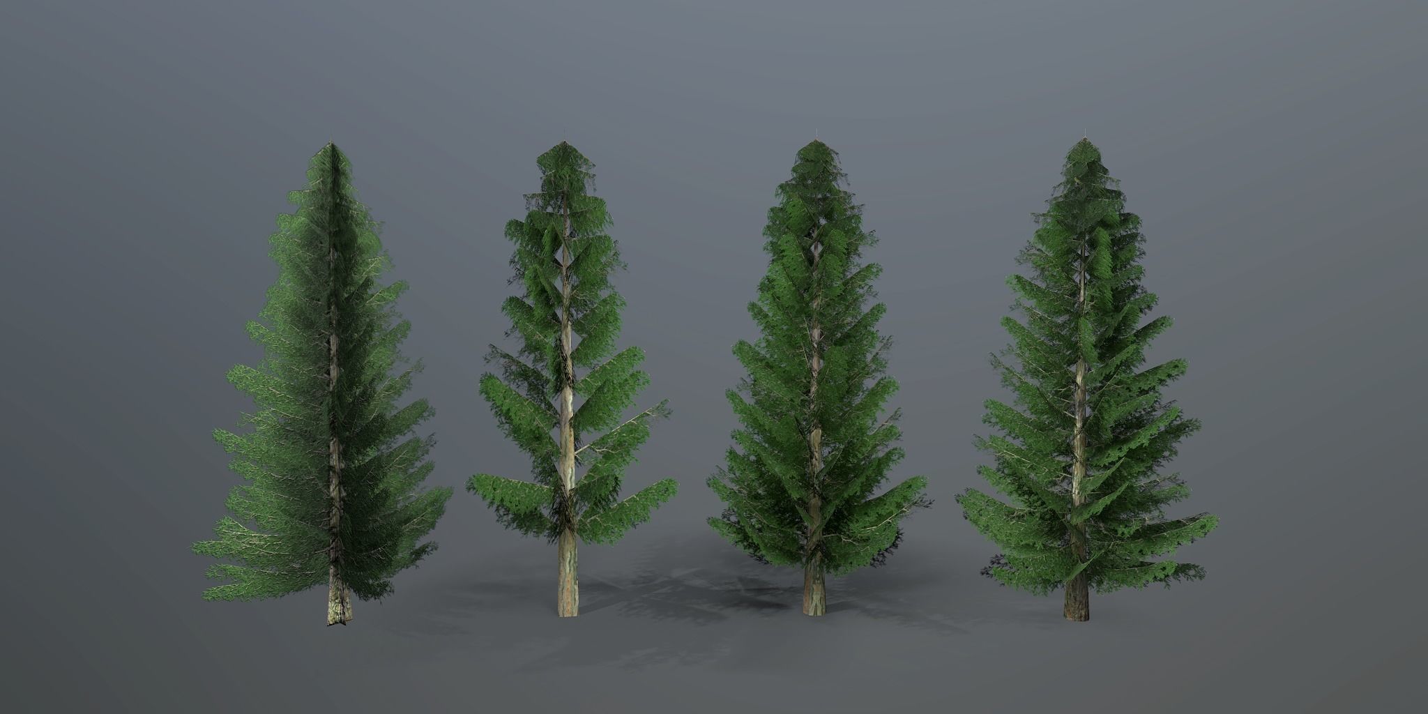 Spruce three pine trees Low-poly 3D model_5