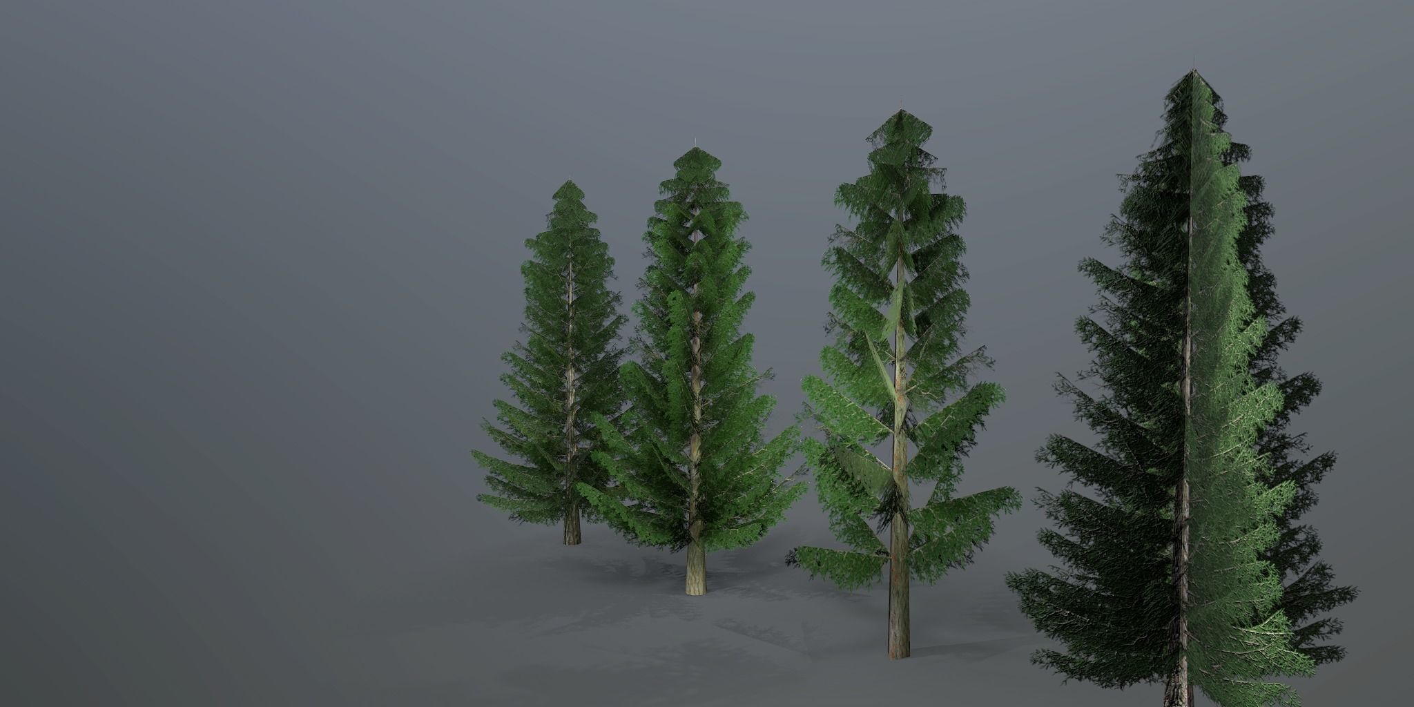 Spruce three pine trees Low-poly 3D model_8