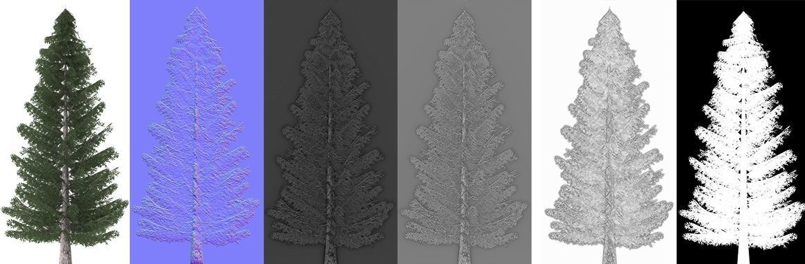 Spruce three pine trees Low-poly 3D model_6