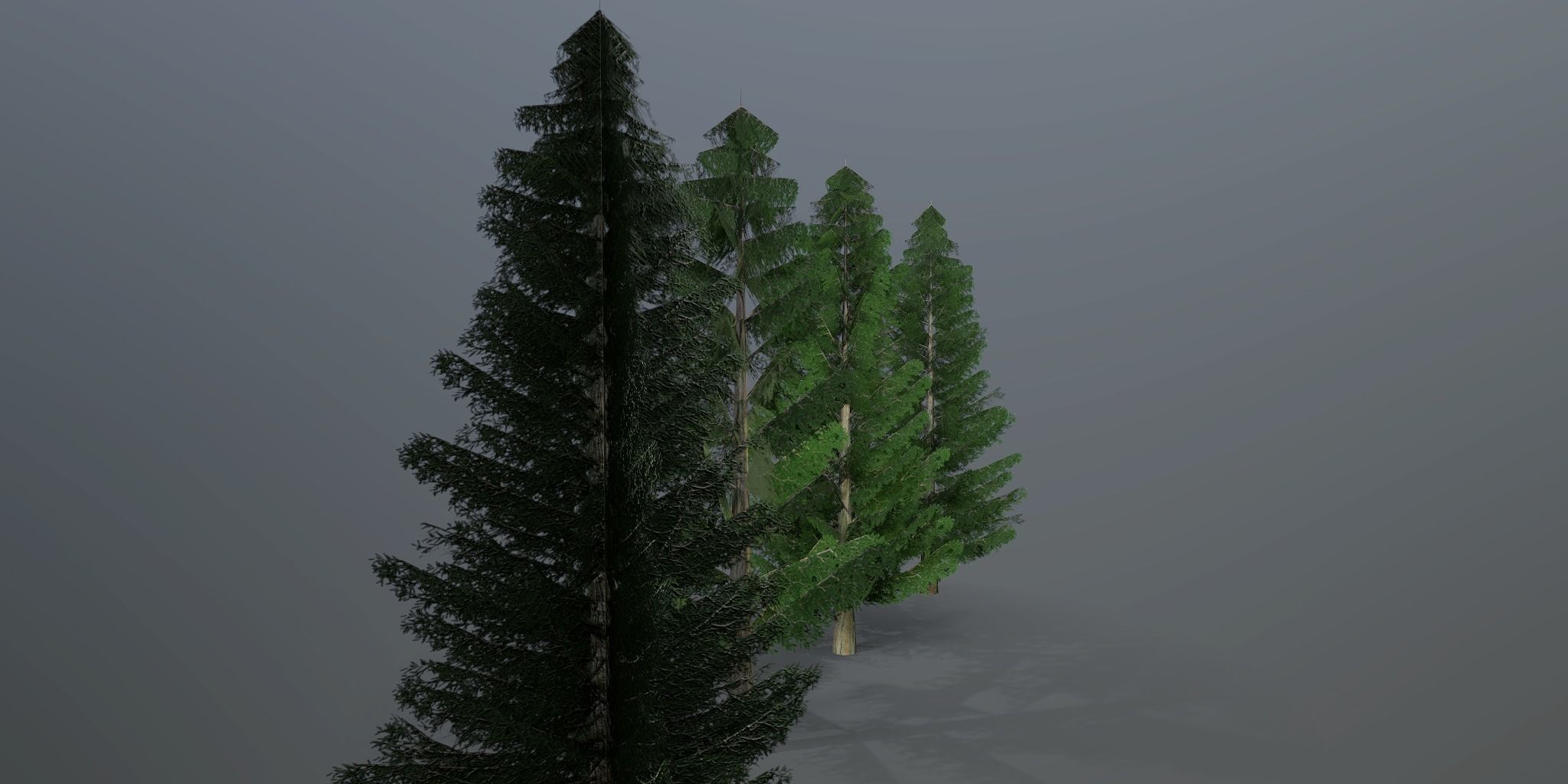 Spruce three pine trees Low-poly 3D model_2