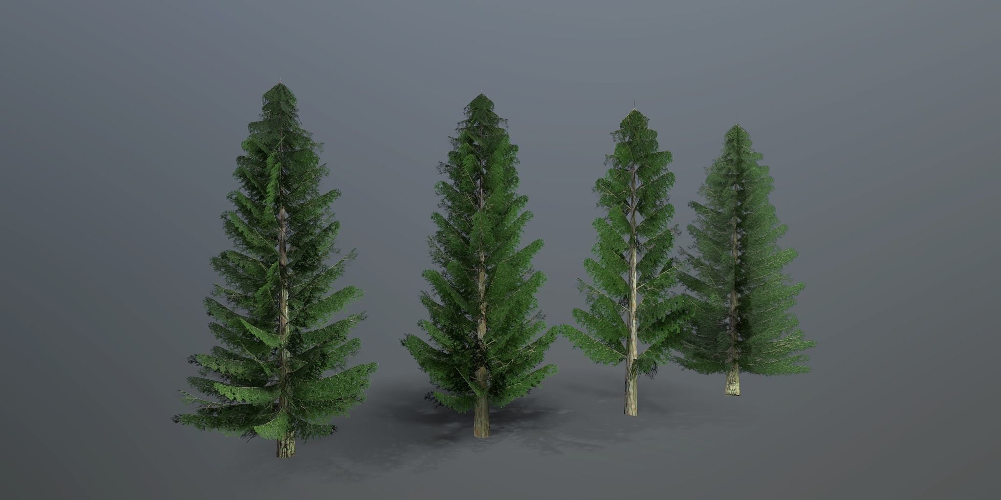 Spruce three pine trees Low-poly 3D model_3
