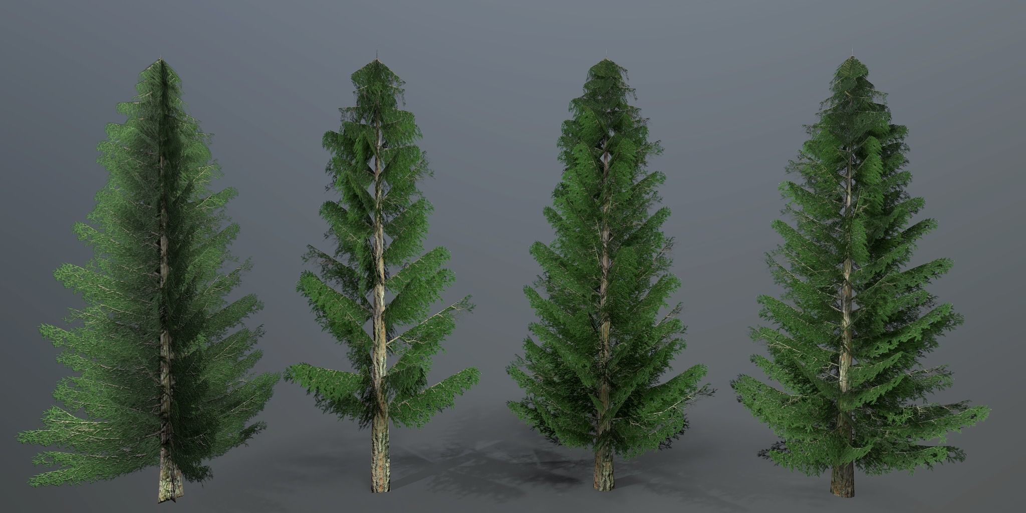 Spruce three pine trees Low-poly 3D model_10