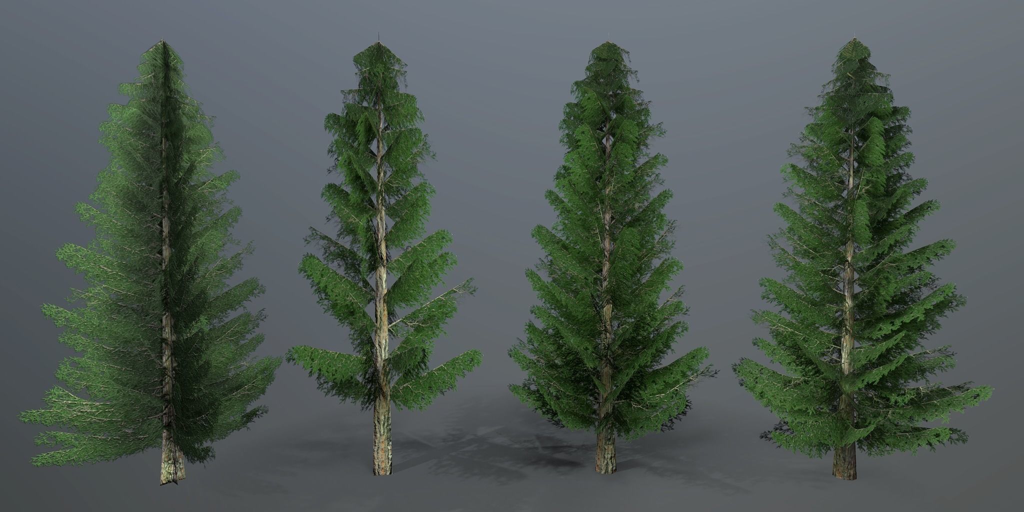 Spruce three pine trees Low-poly 3D model_7