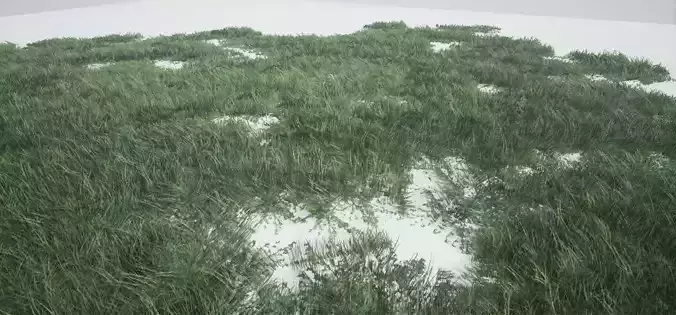 Grass Forest  Low-poly 3D model