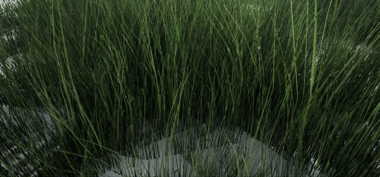 Grass Green And Die Low-poly 3D model_16