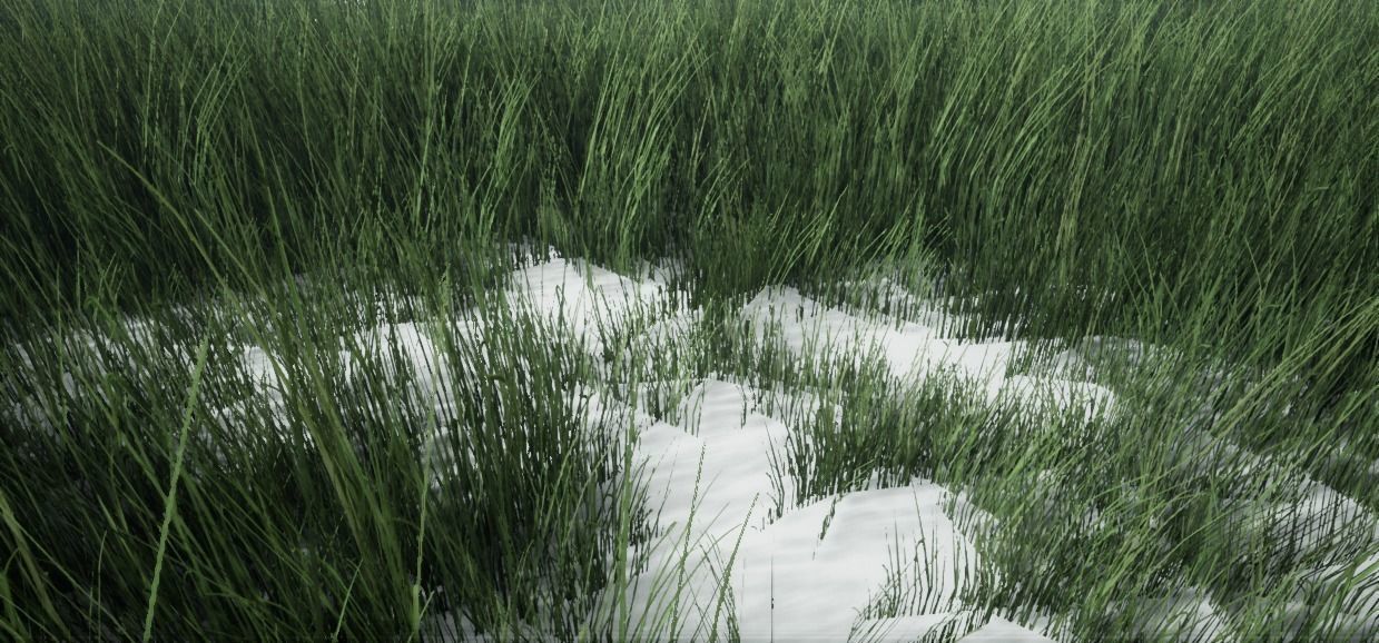 Grass Green And Die Low-poly 3D model_12